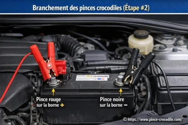 Étape #2 : Branchement des pinces crocodiles