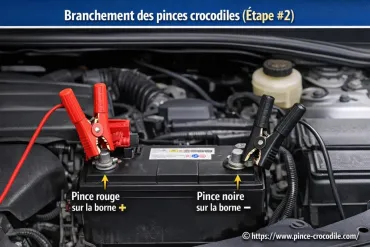 Étape #2 : Branchement des pinces crocodiles