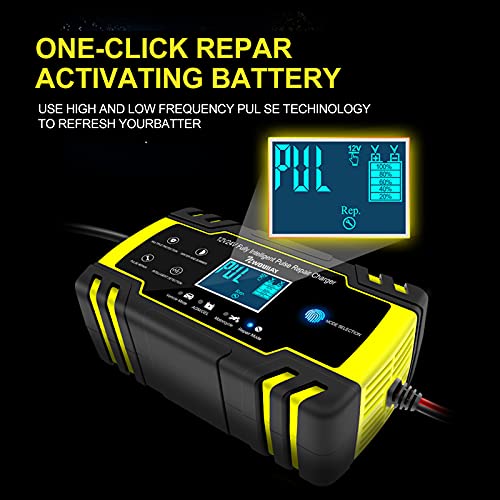 NWOUIIAY Chargeur de Batterie Intelligent Portable 8A 12V/24